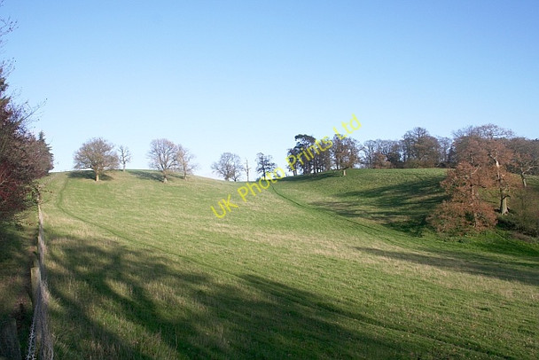 Photo 6"x4" Hope End Parkland near Oyster Hill Coddington\/SO7142 c2006