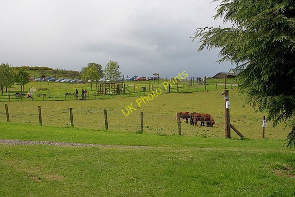 Photo 6"x4" Auchingarrich Wildlife Centre Cowden\/NN7720 c2011