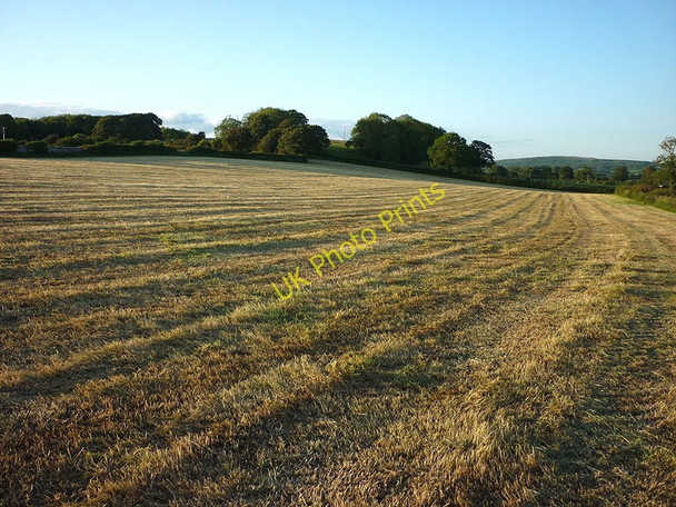 Photo 6"x4" After the grass cut, Warton Carnforth c2011