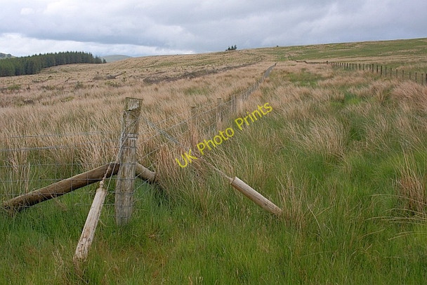 Photo 6"x4" Fence Corner, near Flaska Matterdale End c2011