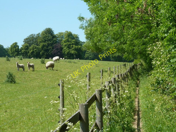 Photo 6"x4" Footpath by the grounds of Walton Lodge Slatepit Dale c2011