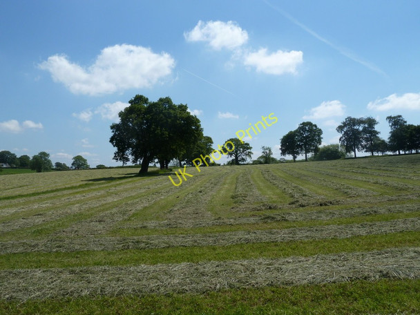 Photo 6"x4" Hay meadow Brookside\/SK3570 c2011