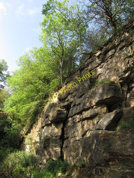 Photo 6"x4" Disused Quarry Fadmoor c2011 P1