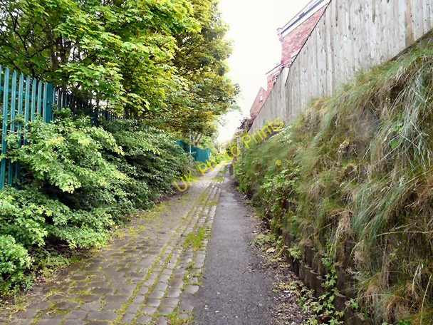 Photo 6"x4" Path to Godley Hyde\/SJ9494 c2011