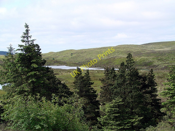 Photo 6"x4" The easternmost llyn of Llynoedd Ieuan Pont Rhydgaled c2011