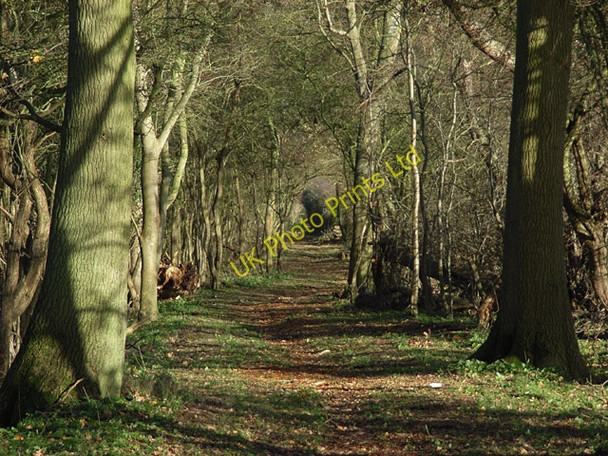 Photo 6"x4" Bridleway near Drayton Drayton\/SU4794 c2006