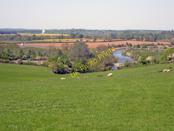 Photo 6"x4" Sheep pasture at Strensham Lower Strensham c2011