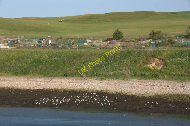 Photo 6"x4" Allotments, Greyhope Road, Aberdeen Torry\/NJ9505 c2011
