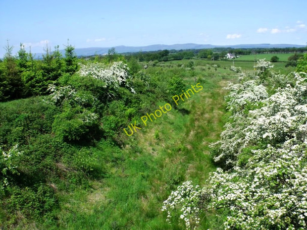 Photo 6"x4" Old mineral railway trackbed Greengairs c2011