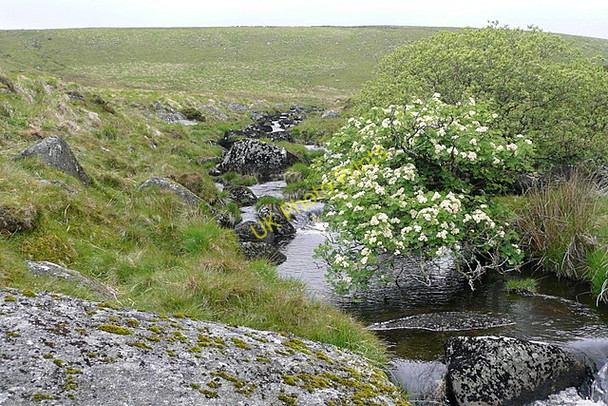 Photo 6"x4" West Dart River Two Bridges\/SX6075 c2011