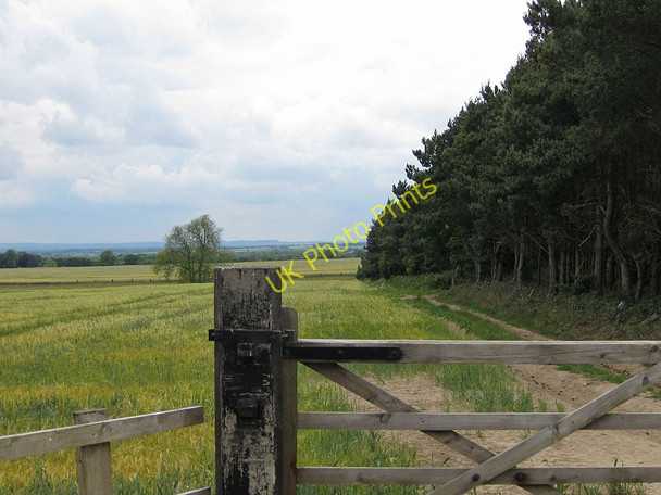 Photo 6"x4" Gated entrance to bridleway Low Dalby c2011
