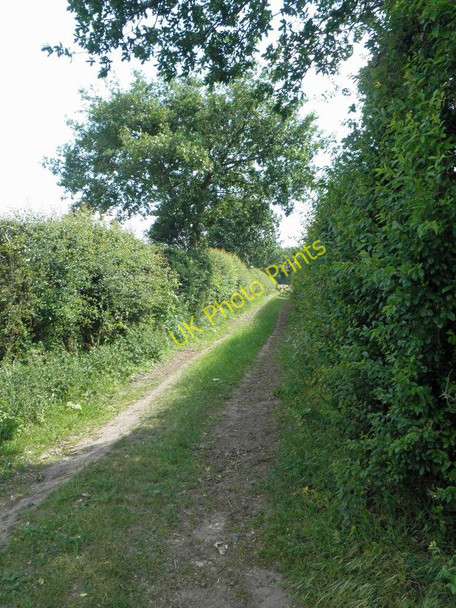 Photo 6"x4" A bridleway from Scrooby to Mattersey Mattersey Thorpe\/SK6790 c2011