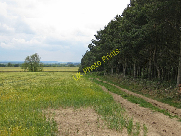 Photo 6"x4" Rutted bridleway by Common Plantation Low Dalby c2011