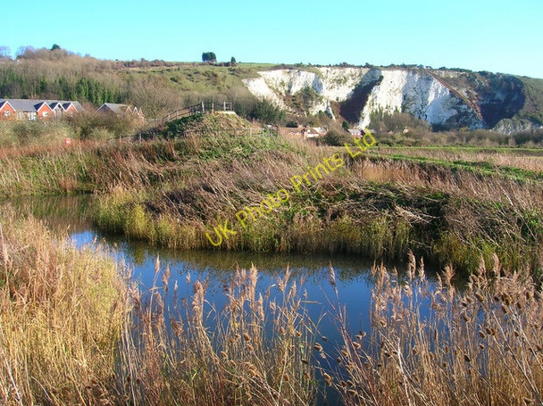 Photo 6"x4" Heart of Reeds, Lewes Railway Nature Reserve Lewes c2006