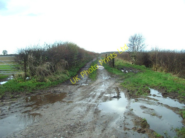 Photo 6"x4" Muddy track Easton\/NY2759 c2006