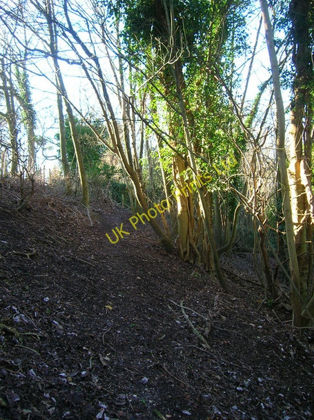 Photo 6"x4" Footpath, Malling Down Nature Reserve Lewes c2006