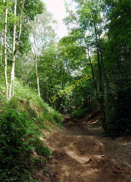 Photo 6"x4" Woodland track near Swindon, Staffordshire Smestow c2011