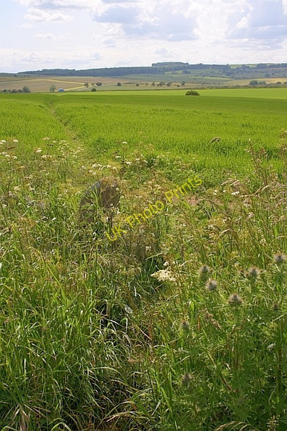 Photo 6"x4" Elton Common Elton\/SK2260 c2011