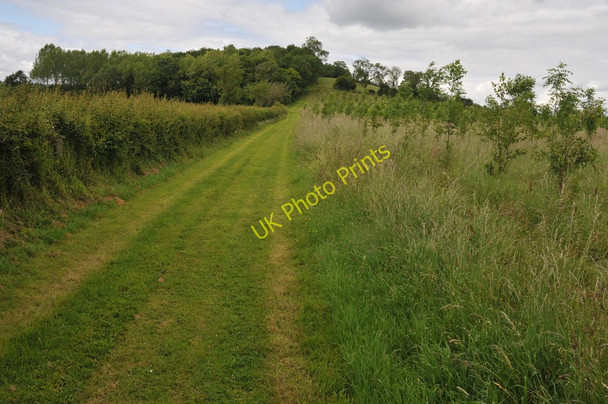 Photo 6"x4" Farmland near Bradley Green Bradley Green\/SO9861 c2011