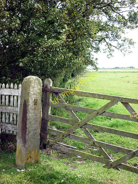 Photo 6"x4" Bench mark on gatepost, Bone Hill Lane Eagland Hill c2011