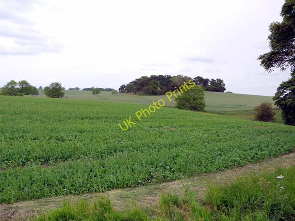 Photo 6"x4" Hollins Hill from the Military Road Horsley\/NZ0966 c2011