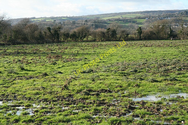 Photo 6"x4" Musbury: in the Axe valley Kingsdon\/SY2594 c2006