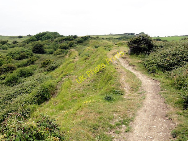 Photo 6"x4" The Coast Path above Black Head Osmington c2011