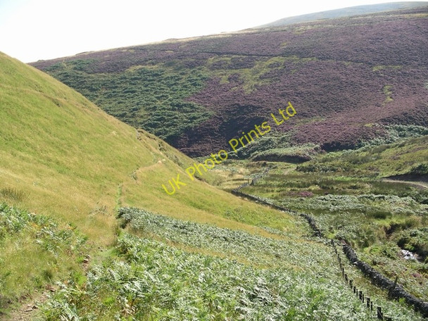 Photo 6"x4" Henshaw burn Carlops c2005