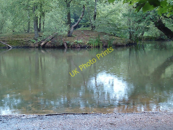 Photo 6"x4" Pond rain Loughton\/TQ4396 c2011