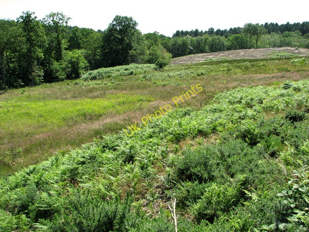 Photo 6"x4" Holt Lowes Holt\/TG0838 c2011