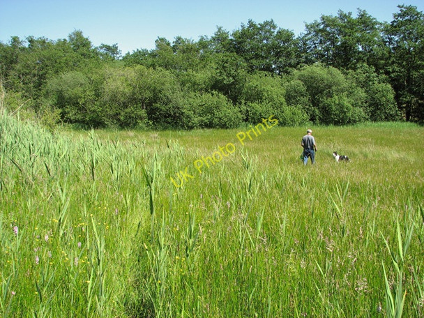 Photo 6"x4" On the edge of Holt Lowes Holt\/TG0838 c2011