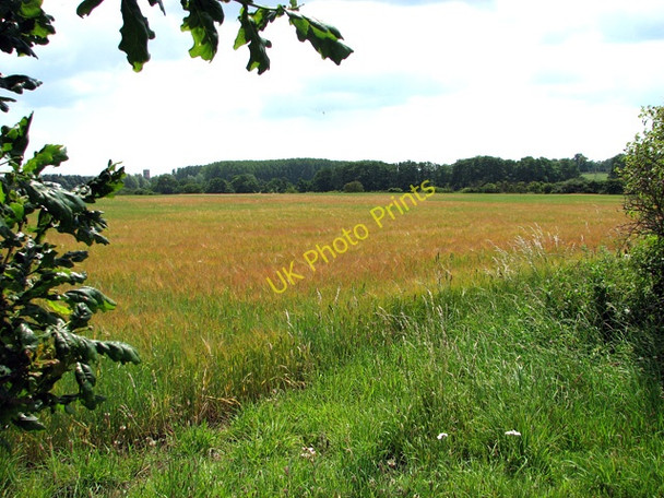 Photo 6"x4" Fields of ripening barley west of Wangford Wangford\/TM4679 c2011