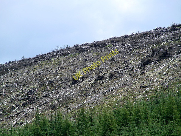 Photo 6"x4" The ugly scar of clear-fell Fuches\/SN8489 c2011