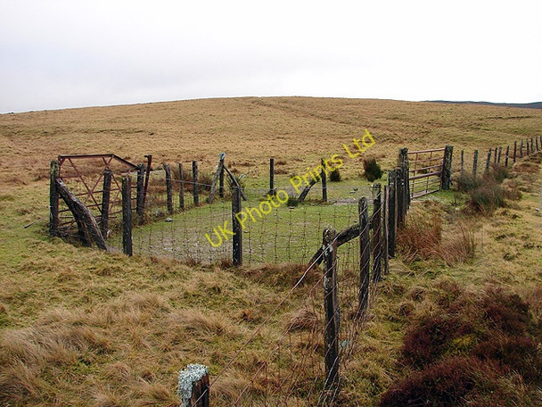 Photo 6"x4" Sheepfold at Uwch-y-coed Dylife c2006