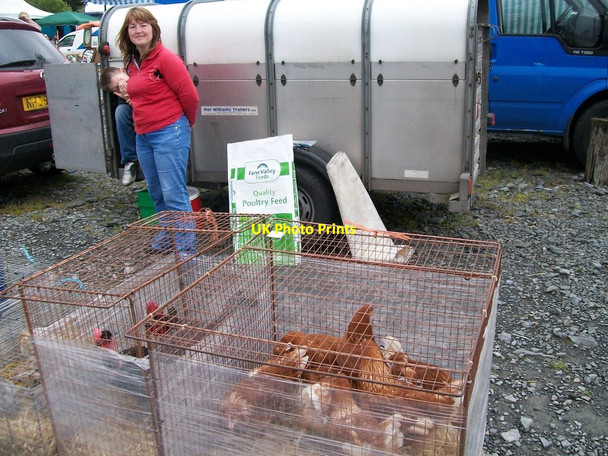 Photo 6"x4" Hens for Sale (with a smile) at Clogher Saturday Market Redhills\/H4416 c2011