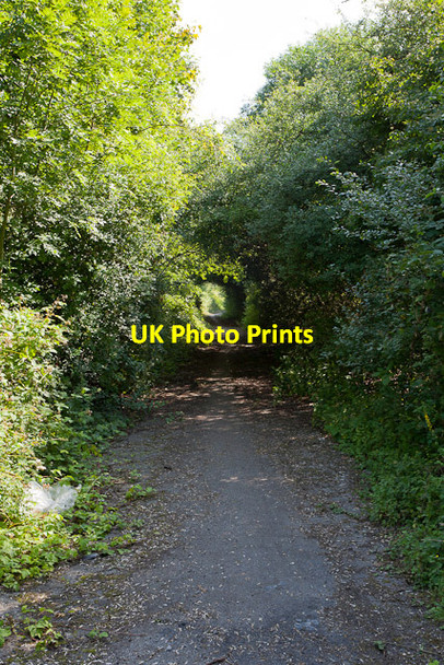 Photo 6"x4" South Downs Way for horses Winchester c2011