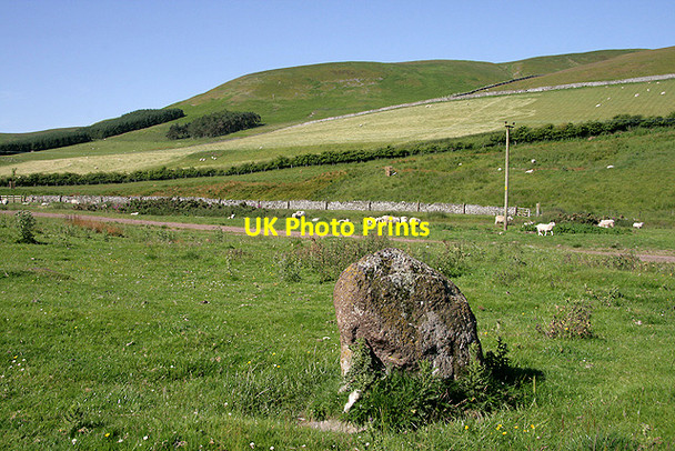 Photo 6"x4" A standing stone at Calroust Mowhaugh c2011