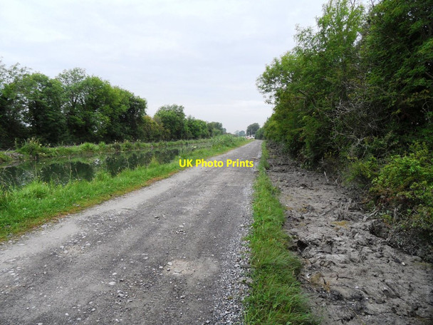 Photo 6"x4" Grand Canal near Ticknevin, Co. Kildare Derrinturn c2011