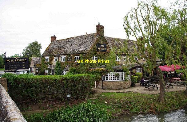 Photo 6"x4" Rose Revived (1), Kingston Road, Newbridge Newbridge\/SP4001 c2011