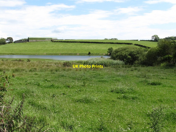 Photo 6"x4" View across rough grassland to Magheralagan Lake Annadorn c2011