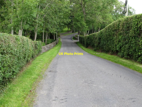 Photo 6"x4" Woodgrange Road at Derry Hill Annadorn c2011