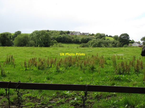 Photo 6"x4" Houses in Drumgooland Townland viewed from Nutgrove Road Annadorn c2011