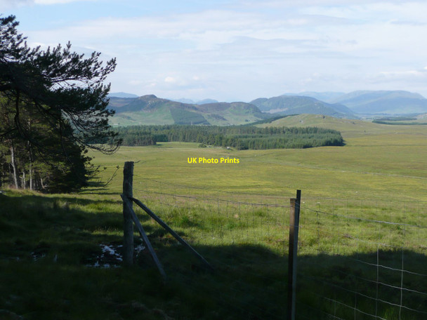 Photo 6"x4" Deer fencing at edge of Coille Chluanaidh Balgowan\/NN6394 c2011
