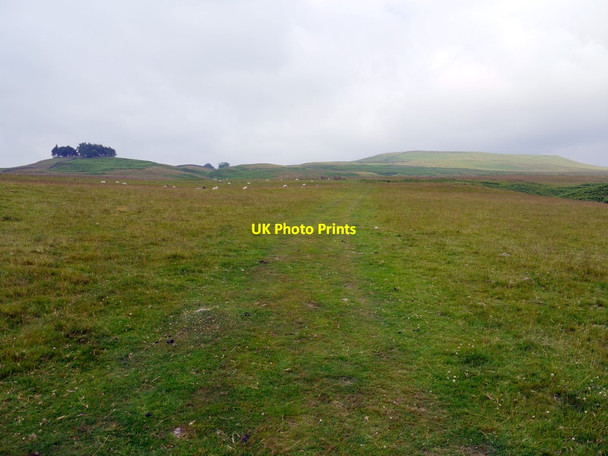 Photo 6"x4" Pennine Way heading between Kirkcarrion and Harter Fell Bowbank\/NY9423 c2011