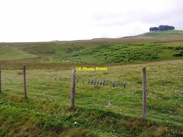 Photo 6"x4" Rams Gill below Kirkcarrion Bowbank\/NY9423 c2011
