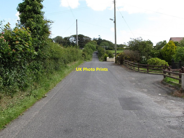 Photo 6"x4" View north-west along Manse Road, Seaforde Seaforde c2011