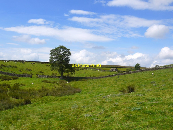 Photo 6"x4" Fields west of the Pennine Way Thringarth c2011