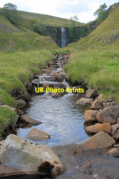 Photo 6"x4" Force Gill Ribble Head\/SD7779 c2011