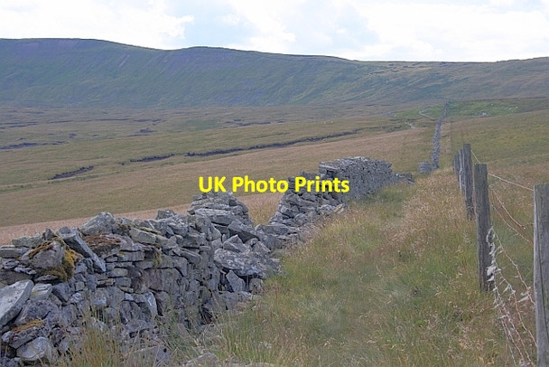 Photo 6"x4" Wall and Fence, Grain Head Ribble Head\/SD7779 c2011