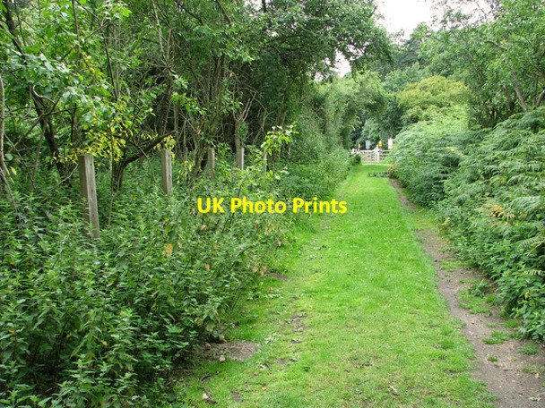 Photo 6"x4" Path to Bear's Grove level crossing, Wroxham Salhouse c2011